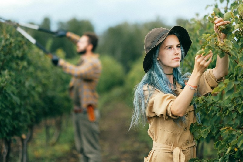 Chica con pelo azul largo y sombrero de pescador en plantación tocando uno de los arboles