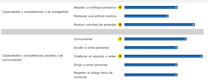 resultado de test con competencias a la izquierda y barritas azules completadas según resultado