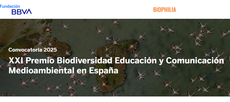 Vista a&eacute;rea de flamencos volando sobre paisaje verdoso y texto del certamen