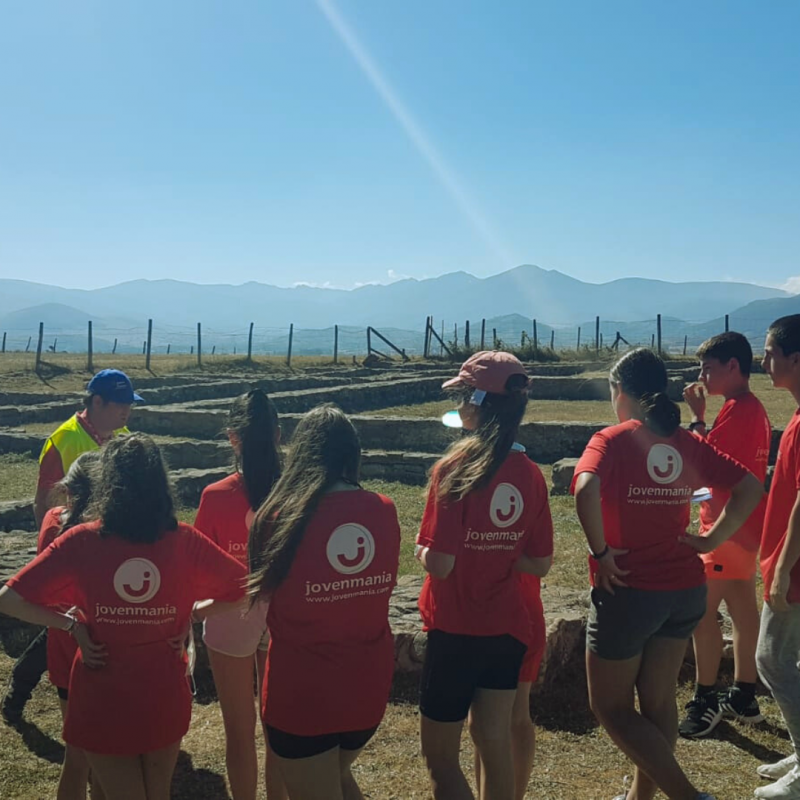 participantes Campos de Voluntariado Nacionales